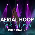 Aerial Hoop (4).png