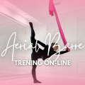 Aerial Hoop (7).png